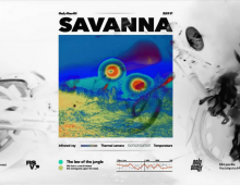 Only One Of _ [savanna] MV